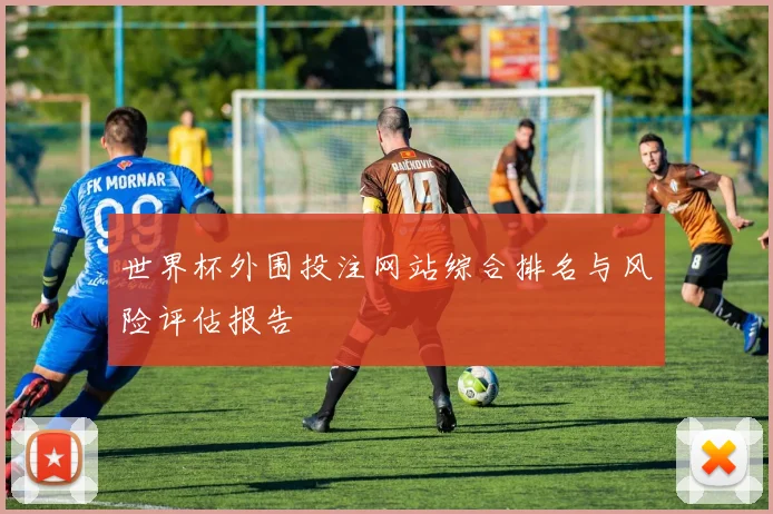 世界杯外围投注网站综合排名与风险评估报告