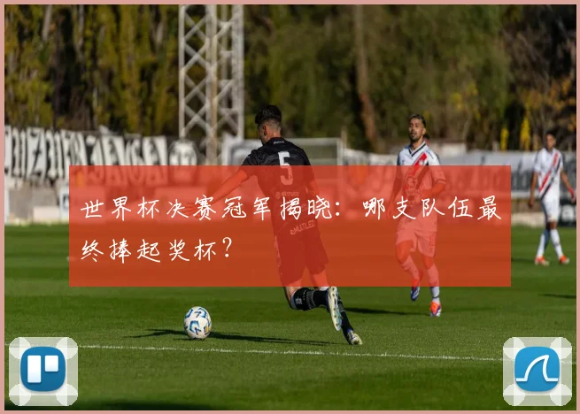 世界杯决赛冠军揭晓:哪支队伍最终捧起奖杯?