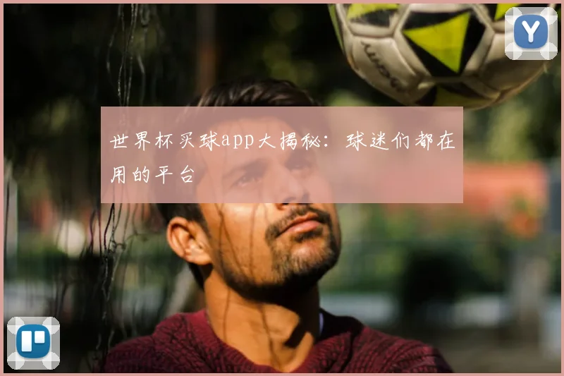 世界杯买球app大揭秘：球迷们都在用的平台