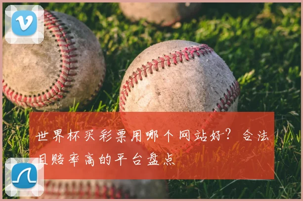 世界杯买彩票用哪个网站好？合法且赔率高的平台盘点