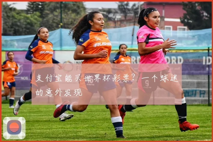 支付宝能买世界杯彩票?一个球迷的意外发现