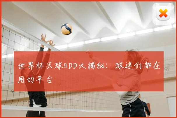 世界杯买球app大揭秘：球迷们都在用的平台