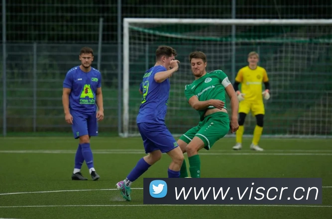 leyu乐鱼在线登录入口品牌故事