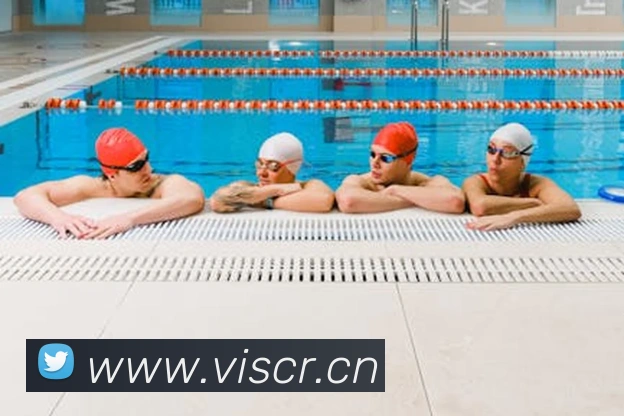 leyu乐鱼在线登录入口服务体系